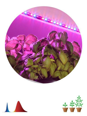 Лента светодиодная FITO-Strip Light-RB-2m 2м для растений красн./син. спектр IP65 Эра Б0057282
