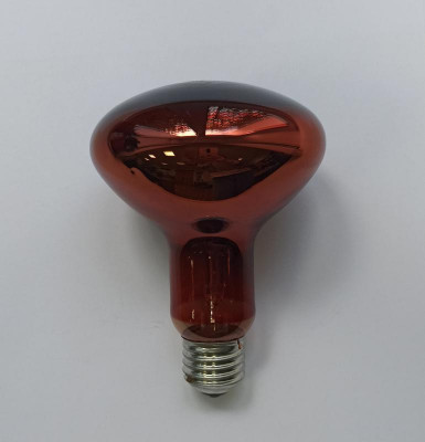 Лампа-термоизлучатель ИКЗК 230-100Вт R95 (30) КЭЛЗ 8105043