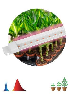 Светильник светодиодный для растений FITO-10W-Т5-RB-Slim 10Вт Т5 линейный красн./син. спектра Эра Б0057401