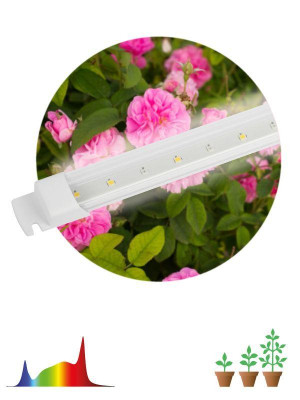 Светильник светодиодный для растений FITO-10W-Т5-Ra90-Slim 10Вт Т5 линейный полного спектра Эра Б0057400