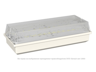 Светильник аварийный BS-UNIVERSAL-10-L6-LED 3000К Белый Свет a30198