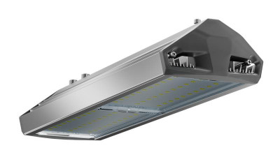 Светильник светодиодный ДКУ 100 740 Д ЕСАУЛ IP66/67 уличный Технологии света УТ000020650