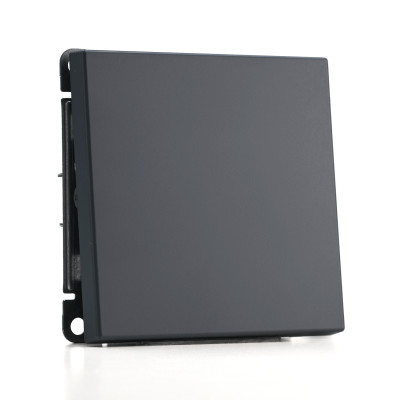 Выключатель кнопочный 1-кл. ArtGallery 10А механизм грифель SE GAL000715