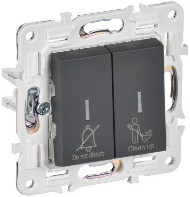 Выключатель 2-кл. SKANDY 10А SK-V16G для отелей с индикацией графит IEK SK-V20-2-10-K53