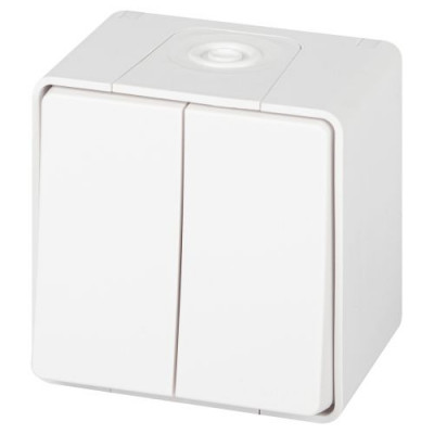 Выключатель Эксперт 11-1504-01 двойн. IP55 10АХ-250В ОУ бел. Эра Б0063257