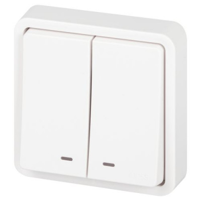 Выключатель Эксперт 11-1525-01 двойн. с подсветкой IP55 10АХ-250В СУ бел. Эра Б0063304