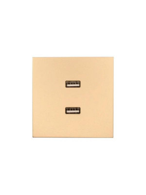 Розетка 2-мест. USB разъем СП ZIMA IP20 зол. LEZARD 704-3688-192