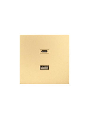 Розетка Type-C+ USB разъем СП ZIMA IP20 зол. LEZARD 704-3688-192TC