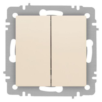 Выключатель 2-кл. СП Accent 6-104-02 10А IP20 250В AL/CU сл. кость Intro Б0063482