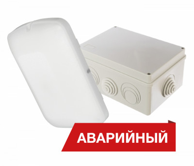 Светильник светодиодный Луна Eco Box 15/1500 15Вт 4000К IP65 1500лм 90Ra Кп<5 аварийный Diora DLEB15-4K-A-Ra90