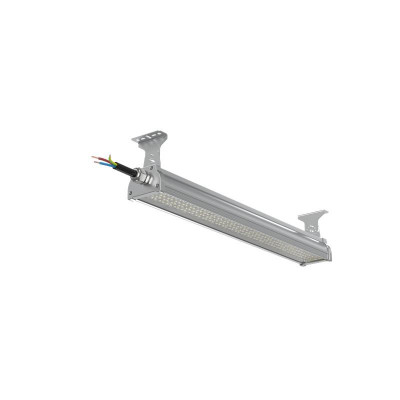 Светильник светодиодный ДСП WP 24 C 60W M 840 2 L600 SI CL 680х100х85мм 60Вт 4000К IP66 пылевлагозащ. Русский Свет 27072423933