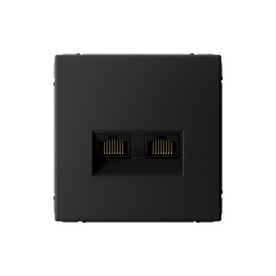 Розетка компьютерная 2-м ArtGallery RJ45 + RJ45 кат.5E механизм карбон SE GAL001085