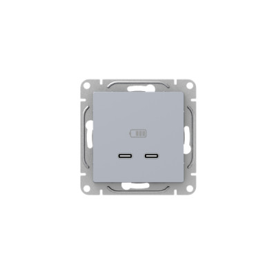 Розетка 2-м СП Эпика USB-C механизм алюм. EKF UP1-SOA-2USBC