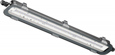Светильник светодиодный 72 321 ДСП-103-22-С-30-600-5К-IP67 30Вт 5000К IP67 Innolux 72321