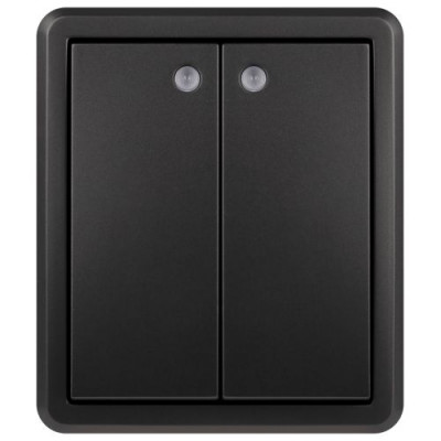 Выключатель 2-кл. ОП Эксперт 11-1205-05 10А IP20 250В 10AX с подсветкой антрацит Эра Б0063021