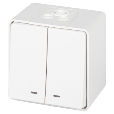 Выключатель 2-кл. ОП Эксперт 11-1505-01 10А IP55 250В 10AX с подсветкой бел. Эра Б0063282