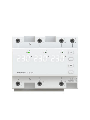 Переключатель фаз FS6-63 Welrok 4660251141417