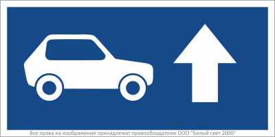 Знак безопасности BL-3015B.N21 