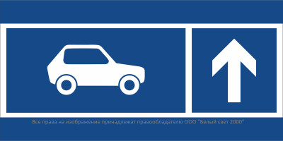 Знак безопасности BL-3015B.N24 