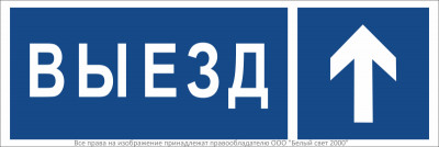 Знак безопасности BL-3511B.N13 