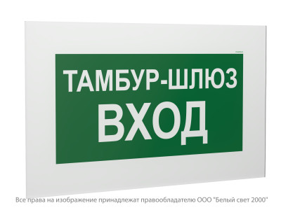 Знак безопасности PS-40206.E41 