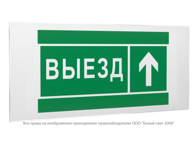 Знак безопасности PS-50206.N06 