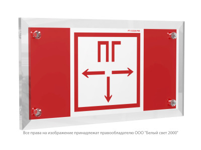 Знак безопасности PT-12228.F09 