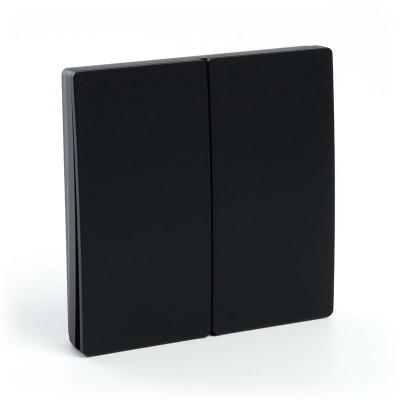 Выключатель дистанционного управления 2-кл. TM82 IP20 7мВт черн. FERON 41723