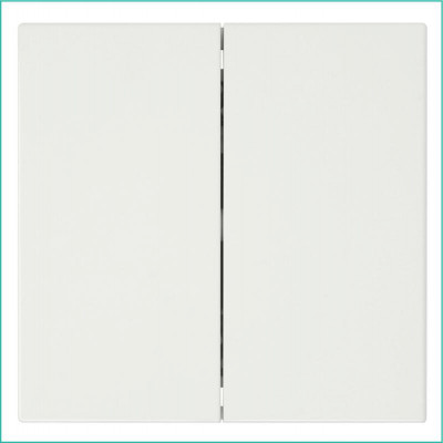 Выключатель 2-кл. СП 10А IP20 с накладкой механизм сахара Jasmart FD3023SH