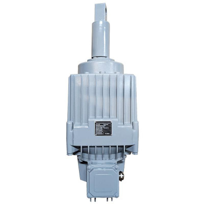 Гидротолкатель ТЭ-200 (ход штока 120мм) Кранэлектро 00-00019824