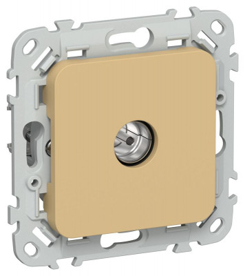 Розетка телевизионная оконечная СП FLITE РТВм-1-1-1-ФлШм тип M экранир. механизм шамуа IEK FI-A13-O-K89