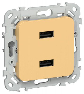 Розетка USB СП FLITE РЮ-2-ФлЗ AA 2.1А механизм золотарник IEK FI-U21-D31-K90
