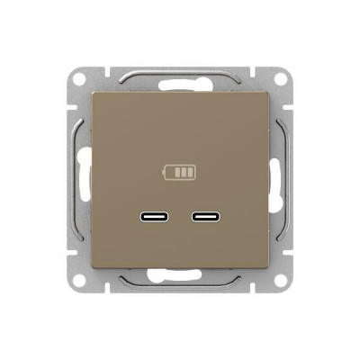 Розетка 2-м СП Эпика USB-C механизм шампань EKF UP1-SOC-2USBC
