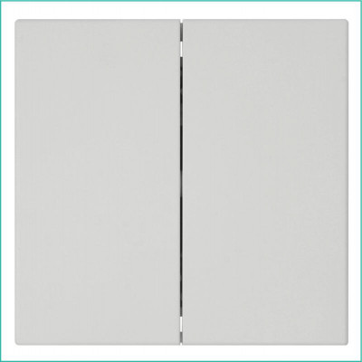 Выключатель 2-кл. СП FD 10А IP20 с накладкой механизм тауп матов. soft touch Jasmart FD3023PTM