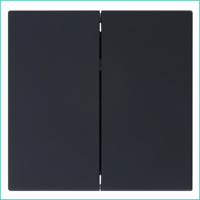 Выключатель 2-кл. СП FD 10А IP20 с накладкой механизм черн. матов. soft touch Jasmart FD3023PBM