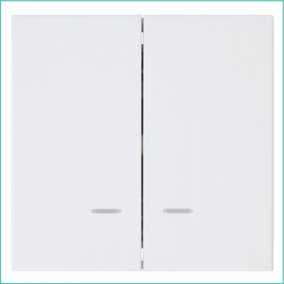 Выключатель 2-кл. СП FD 10А IP20 с подсветкой с накладкой механизм бел. глянцевый Jasmart FD3023NW