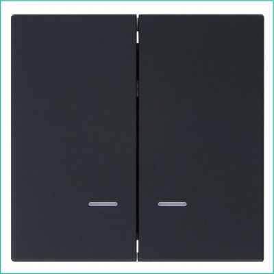 Выключатель 2-кл. СП FD 10А IP20 с подсветкой с накладкой механизм черн. матов. soft touch Jasmart FD3023NPBM