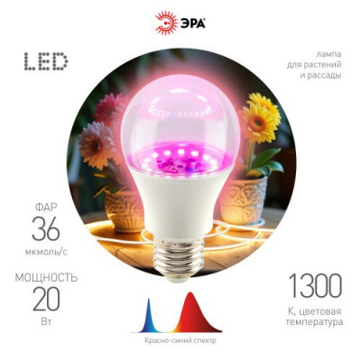 Лампа светодиодная FITO-20W-RB-E27 20Вт грушевидная прозрачная 1300К красн./син. спектра E27 130-270В для растений Эра Б0069710