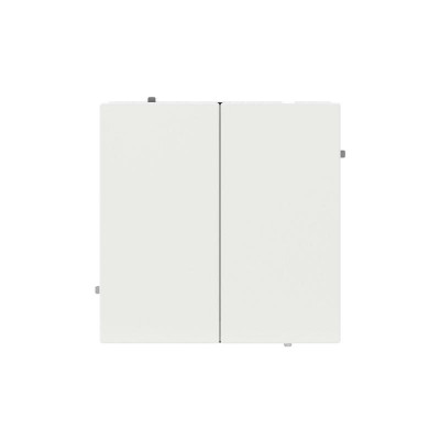 Инвертор 2-кл. KANT бел. магнолия DKC 7000124