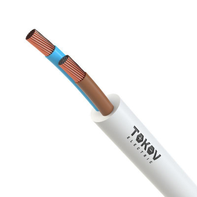Провод TOKOV ELECTRIC ПВСнг(А)-LS 2х1 380В Б (уп.100м) 69164