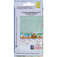 Георгина махровая красная «Фигаро»