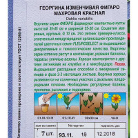 Георгина махровая красная «Фигаро»