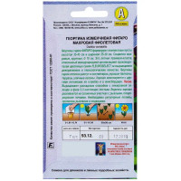 Георгина махровая фиолетовая «Фигаро»