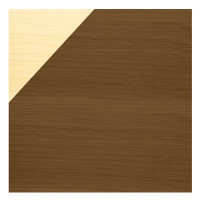 Антисептик Wood Protect цвет тик 10 л