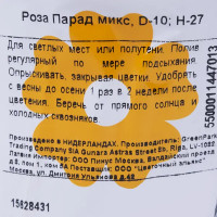 Роза Парад микс 10х27 см