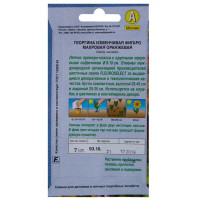 Георгина махровая оранжевая «Фигаро»