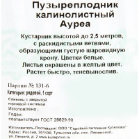 Пузыреплодник «Ауреа С2», 40 см