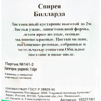 Спирея «Билларда С2», 40 см