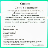 Спирея «Грефшайм С2», 30-60 см