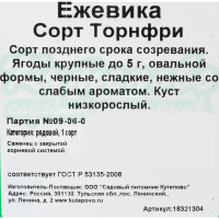 Ежевика С2, 50 см